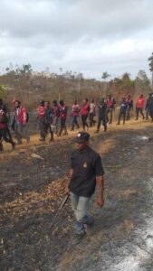 NDLEA destroys 255 hectares of cannabis farms arrests 13 in Ondo