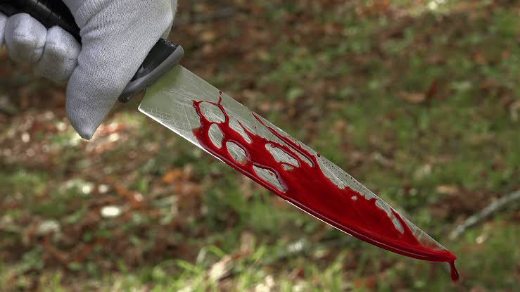 Wife kills husband’s nephew over broken mirror