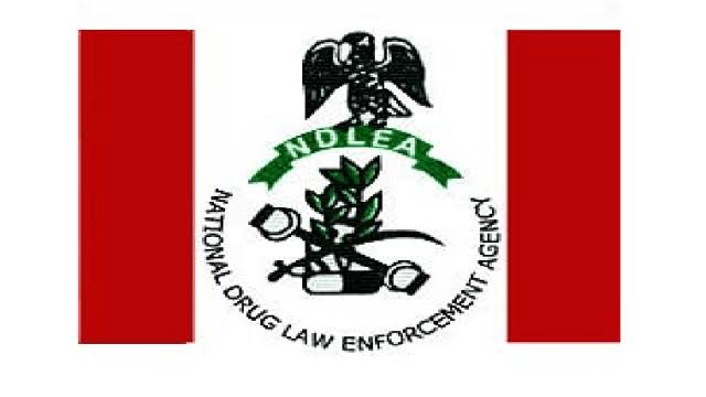 Nigeria South Africa Renew Partnership on Drug War
