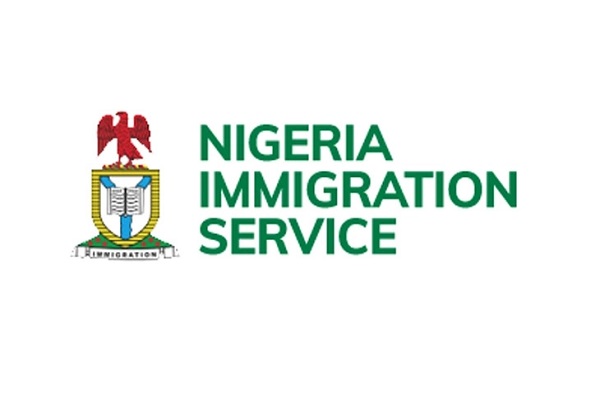 Immigration arrests passenger with firearms