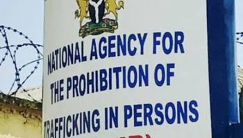 NAPTIP rescues 65 victims of human trafficking in Niger
